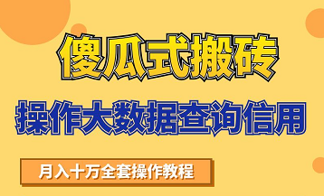 搬砖操作大数据查询信用项目赚钱教程，祝你快速月入6万| 鹿鸣网创