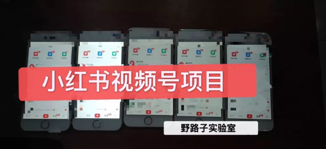 野路子小红书视频号1.0项目,直接上手操作就能赚钱的视频号项目| 鹿鸣网创
