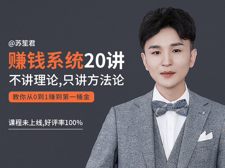 苏笙君的赚钱系统20课 教你从0到1赚到你的第一桶金（不讲理论，只讲方法论）| 鹿鸣网创