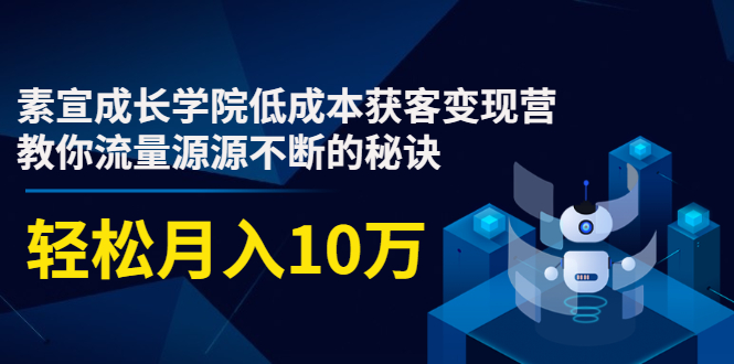素宣成长学院低成本获客变现营，教你流量源源不断的秘诀，轻松月入10万| 鹿鸣网创