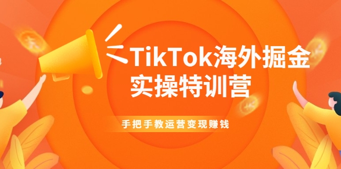 TikTok海外掘金实操特训营：手把手教运营变现赚钱| 鹿鸣网创