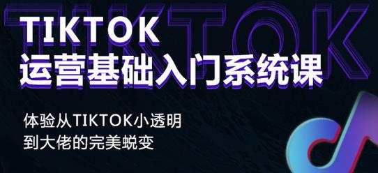Tiktok实操进阶课程,体验从tiktok小透明到大佬的完美蜕变| 鹿鸣网创