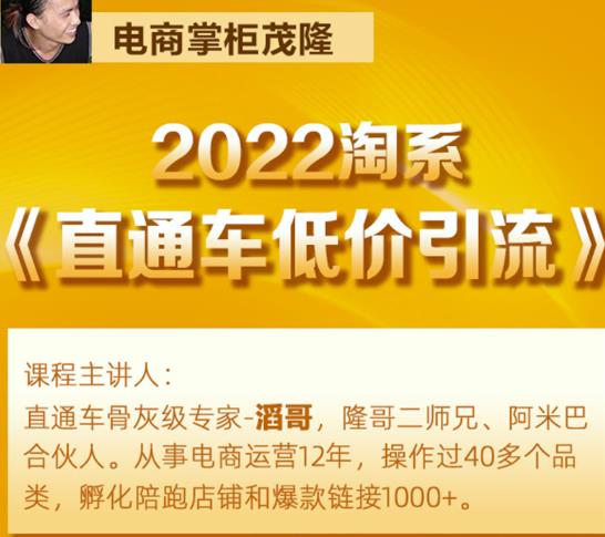 茂隆2022直通车低价引流玩法,教大家如何低投入高回报的直通车玩法| 鹿鸣网创