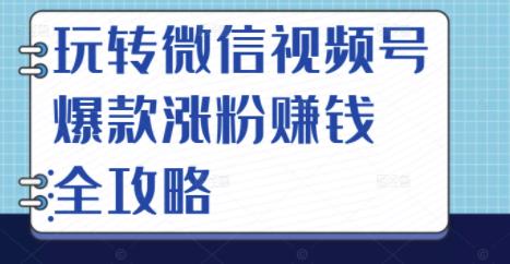 玩转微信视频号爆款涨粉赚钱全攻略,让你快速抓住流量风口,收获红利财富| 鹿鸣网创