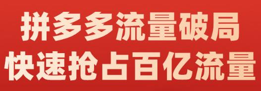 阿杰·拼多多流量破局:如何打黑标，爆款的思路，拼多多流量框架，快速抢占百亿流量| 鹿鸣网创