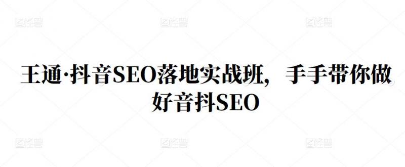 王通·抖音SEO落地实战班,手手带你做好音抖SEO| 鹿鸣网创