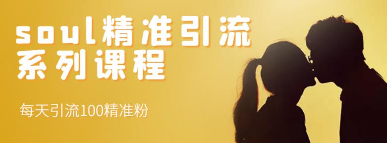 soul精准引流系列课程，每天引流100精准粉| 鹿鸣网创