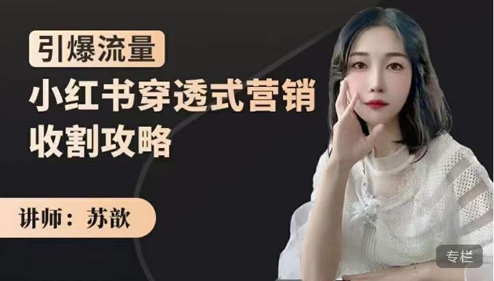 苏歆:小红书穿透式营销收割攻略,引爆流量,助你玩转小红书| 鹿鸣网创