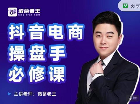 诸葛老王-抖音电商操盘手必修课:顶层设计,起号破局,爆款运营,数据分析| 鹿鸣网创
