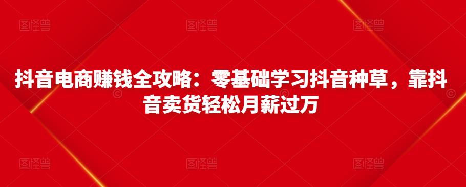 抖音电商赚钱全攻略：零基础学习抖音种草，靠抖音卖货轻松月薪过万| 鹿鸣网创