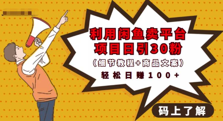 利用闲鱼卖平台项目课程资源日引流30+精准粉丝，轻松日赚100+，积累人脉可实现二次变| 鹿鸣网创