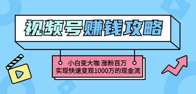 玩转微信视频号赚钱:小白变大咖涨粉百万实现快速变现1000万的现金流| 鹿鸣网创