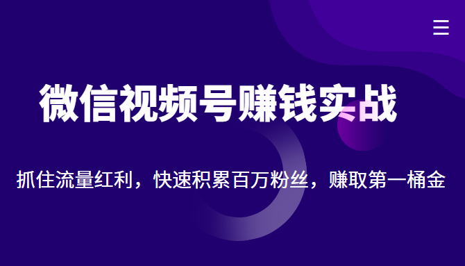 微信视频号赚钱实战:抓住流量红利,快速积累百万粉丝,赚取你的第一桶金| 鹿鸣网创