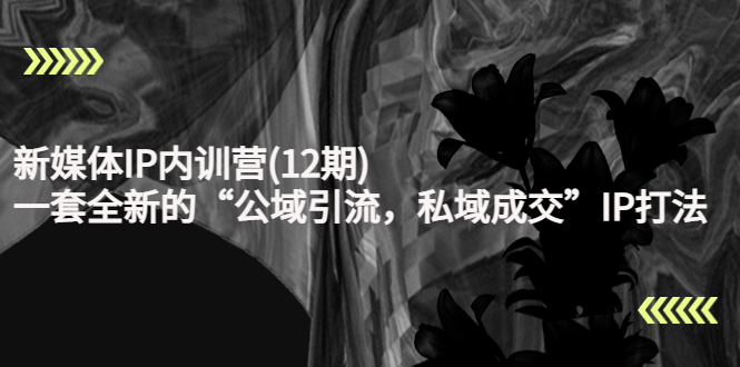 新媒体IP内训营(12期)，一套全新的“公域引流，私域成交”IP打法，直接带走| 鹿鸣网创