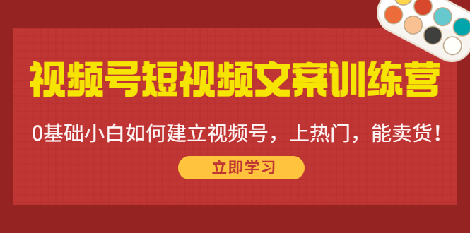 视频号短视频文案训练营：0基础小白如何建立视频号，上热门，能卖货！| 鹿鸣网创