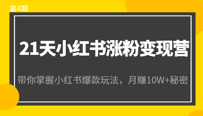 21天小红书涨粉变现营(第4期):带你掌握小红书爆款玩法,月赚10W+秘密| 鹿鸣网创