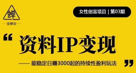 资料IP变现，能稳定日赚3000起的持续性盈利玩法| 鹿鸣网创