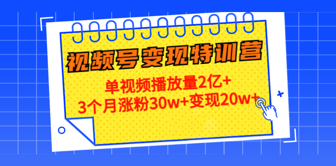 21天视频号变现特训营:单视频播放量2亿+3个月涨粉30w+变现20w+(第14期)| 鹿鸣网创