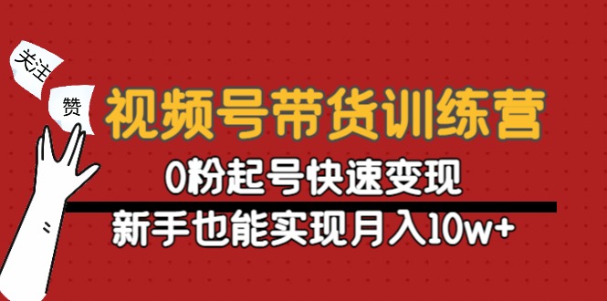 视频号带货训练营：0粉起号快速变现，新手也能实现月入10w+| 鹿鸣网创