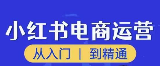 顽石小红书电商高阶运营课程，从入门到精通，玩法流程持续更新| 鹿鸣网创