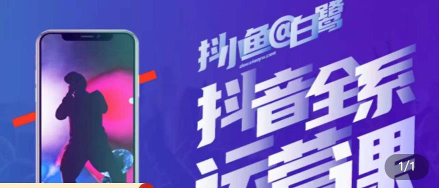 白鹭·主播内训营,运营主播话术起号进阶能力提升| 鹿鸣网创