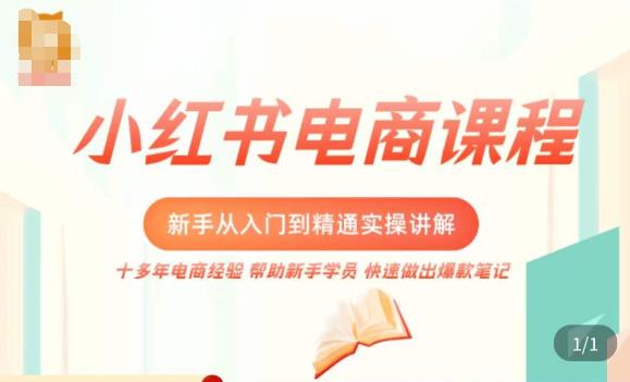 小红书电商新手入门到精通实操课,从入门到精通做爆款笔记,开店运营| 鹿鸣网创