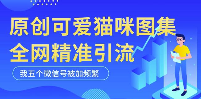 黑科技纯原创可爱猫咪图片,全网精准引流,实操5个VX号被加频繁| 鹿鸣网创