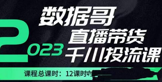 数据哥2023直播电商巨量千川付费投流实操课,快速掌握直播带货运营投放策略| 鹿鸣网创