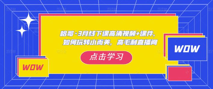 哈哥·3月线下实操课高清视频+课件，如何玩转小而美，高毛利直播间| 鹿鸣网创