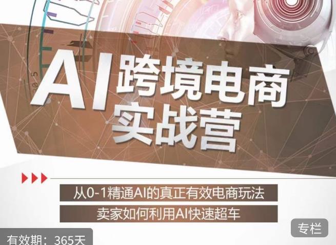 白龙老师·AI跨境电商实战营:从0-1精通Al的真正有效电商玩法,卖家如何利用Al快速超车| 鹿鸣网创