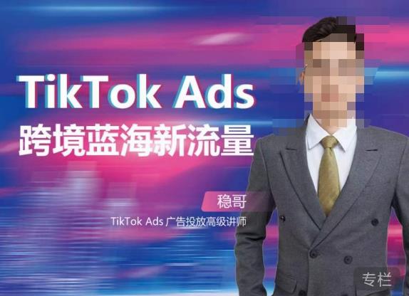稳哥·如何投出高ROI的TikTok广告，开拓独立站卖家流量新蓝海| 鹿鸣网创