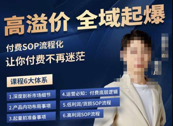 逸风-拼多多高溢价全域起爆，6大课程体系，付费玩法全套实操| 鹿鸣网创