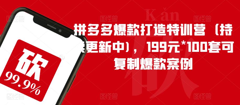 拼多多爆款打造特训营(持续更新中),199元*100套可复制爆款案例| 鹿鸣网创