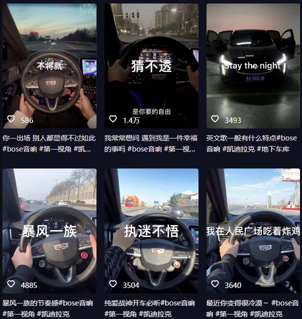 抖音开车视频项目，0基础操作，每天五分钟，月入1W+【揭秘】| 鹿鸣网创