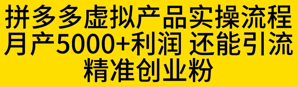 拼多多虚拟产品实操流程，月产5000+利润，还能引流精准创业粉【揭秘】| 鹿鸣网创