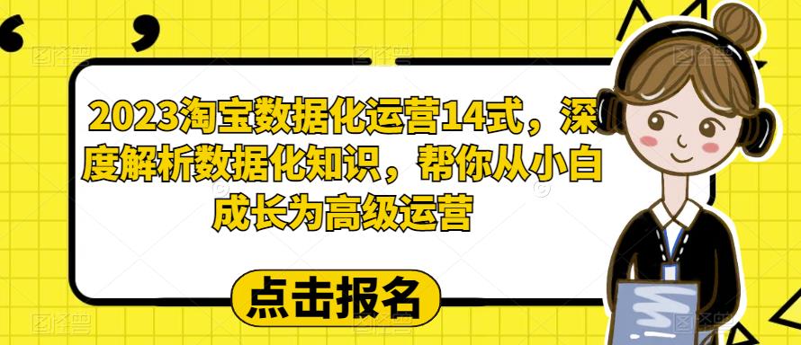 2023淘宝数据化运营14式，深度解析数据化知识，帮你从小白成长为高级运营| 鹿鸣网创