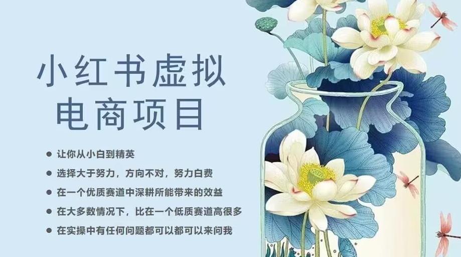 小红书虚拟电商从0到1，让你从小白到精英（20节实操课程）| 鹿鸣网创