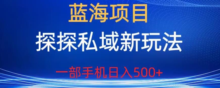 蓝海项目,探探私域新玩法,一部手机日入500+很轻松【揭秘】| 鹿鸣网创