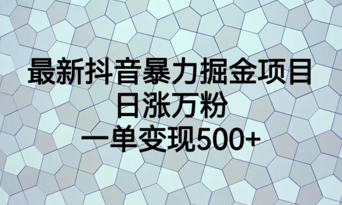 最新抖音暴力掘金项目，日涨万粉，一单变现500+【揭秘】| 鹿鸣网创