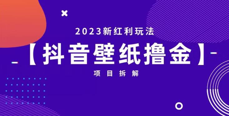 抖音壁纸小程序创作者撸金项目，2023新红利玩法【项目拆解】| 鹿鸣网创