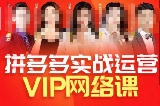 推易拼多多VIP全套直播课程,拼多多店铺实操玩法+实战玩法选款内功+直通车高阶等| 鹿鸣网创