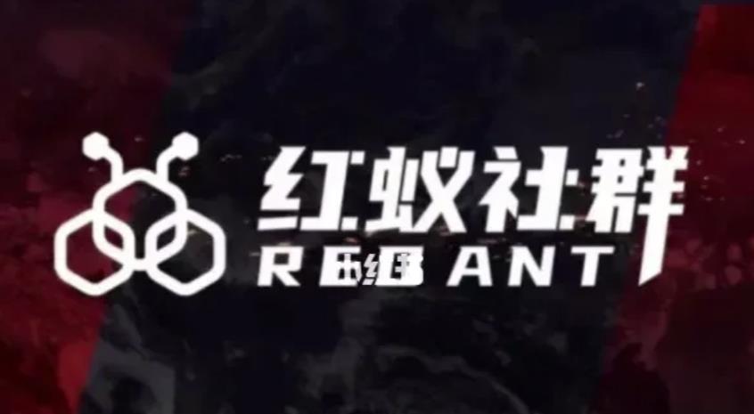 社群运营:红蚁社群【48节落地系统课程+2000人高端社群】| 鹿鸣网创