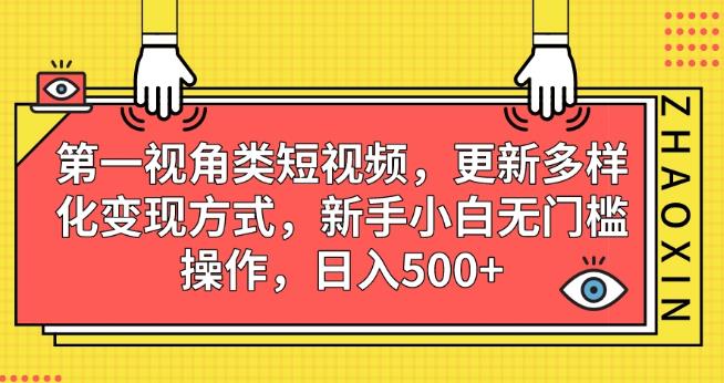 第一视角类短视频，更新多样化变现方式，新手小白无门槛操作，日入500+【揭秘】| 鹿鸣网创