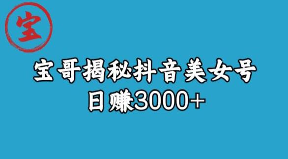 宝哥揭秘抖音美女号玩法,日赚3000+【揭秘】| 鹿鸣网创