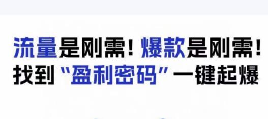 电商盈利精品课:6大盈利密码让产品更好卖,流量是刚需!爆款是刚需!找到”盈利密码”一键起爆| 鹿鸣网创