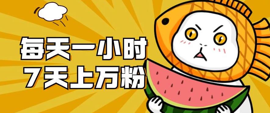 暴力涨粉项目：每天一小时，七天上万粉【揭秘】| 鹿鸣网创