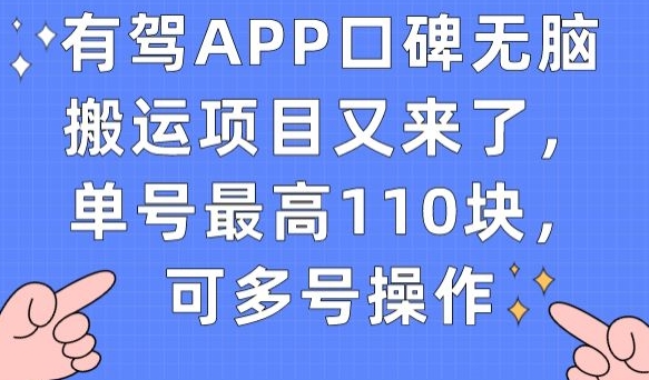 有驾APP口碑无脑搬运项目又来了，单号最高110块，可多号操作| 鹿鸣网创