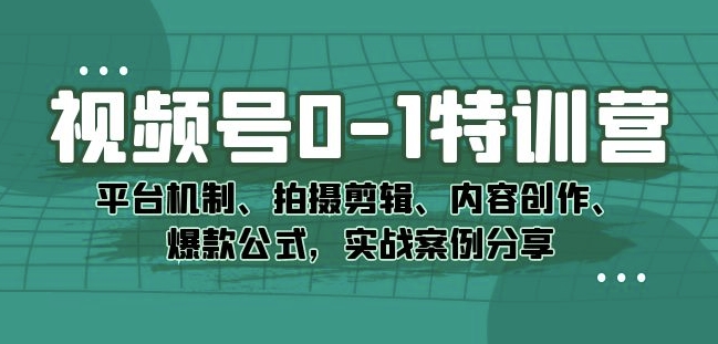 视频号0-1特训营：平台机制、拍摄剪辑、内容创作、爆款公式，实战案例分享| 鹿鸣网创