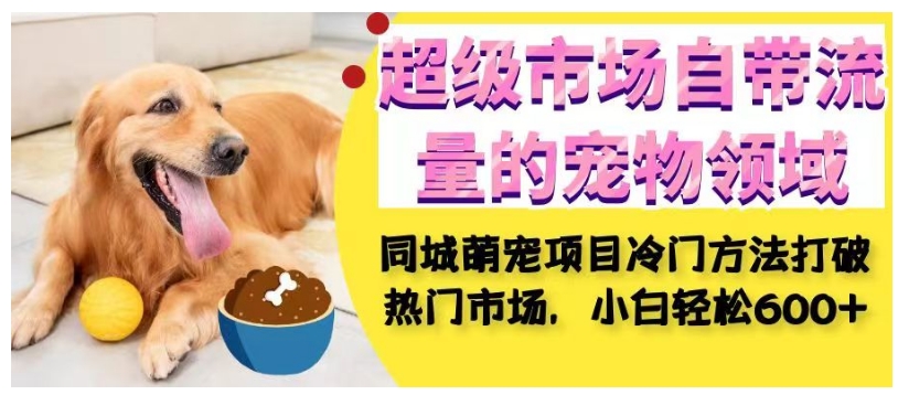 超级市场自带流量的宠物领域，同城萌宠项目冷门方法打破热门市场，小白轻松600+| 鹿鸣网创