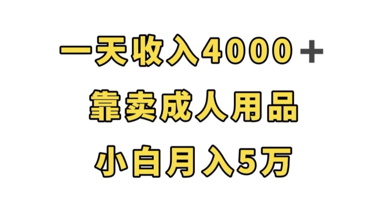 一天收入4000+，靠卖成人用品，小白轻松月入5万【揭秘】| 鹿鸣网创